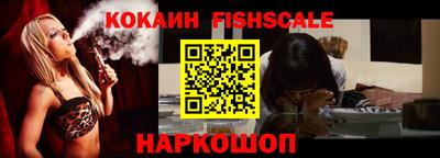 крисы Нальчик