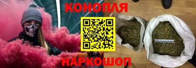 крисы Нальчик