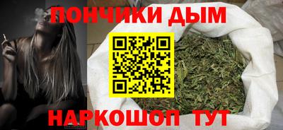 крисы Нальчик