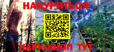 крисы Нальчик