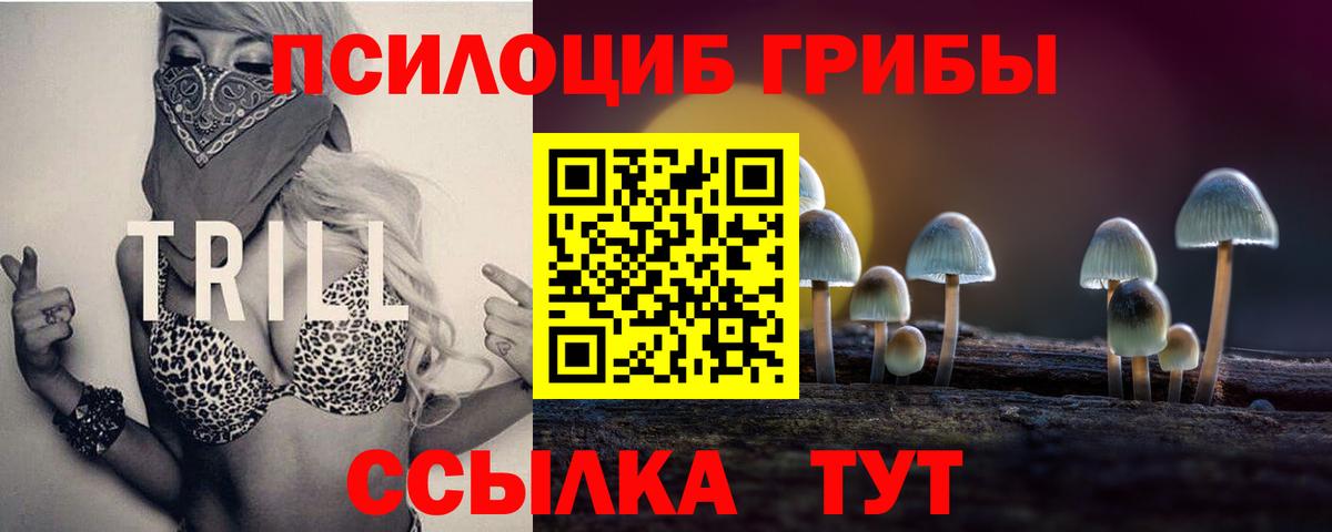Галлюциногенные грибы ЛСД  Псилоцибиновые грибы Psilocybe  Вход с VPN  Рязань 